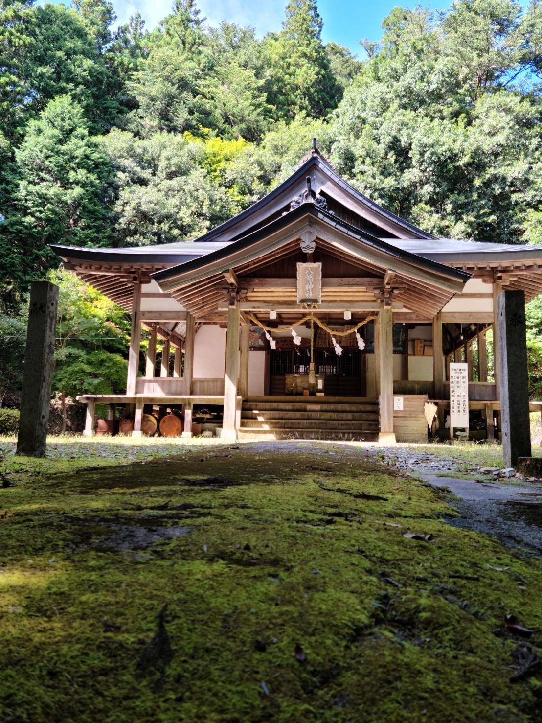 123047D1-9CDE-4C52-94BF-D2B2A5F01236