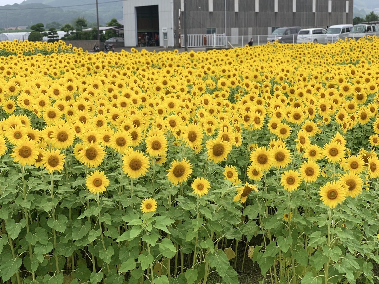 4A6F2BB6-35D0-4AC0-A45E-F80F64BD494C