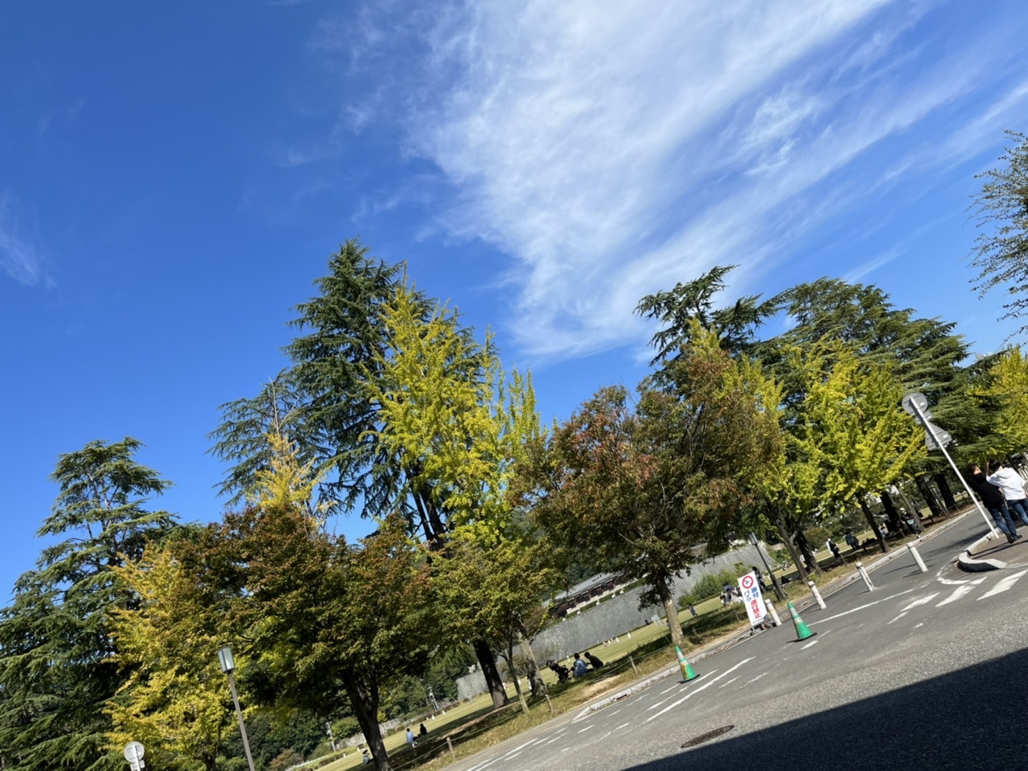 97C394F1-6EB3-4F99-9A00-15881F6EA301